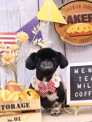 20240907つきみちゃん